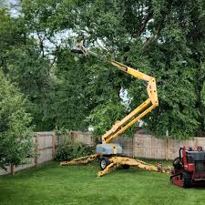 Reliable Corning, NY Tree Services Solutions