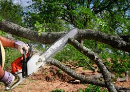 Soil Testing and Treatment in Corning, NY