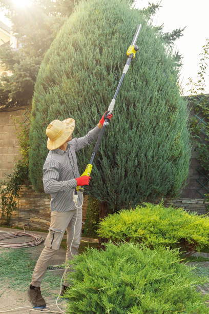 Landscape Design and Installation in Corning, NY